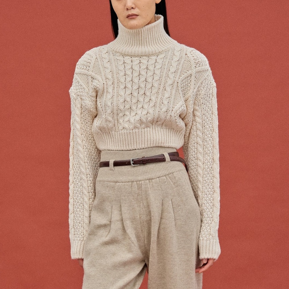 Source Unknown Chunky Crop Turtleneck - image 1